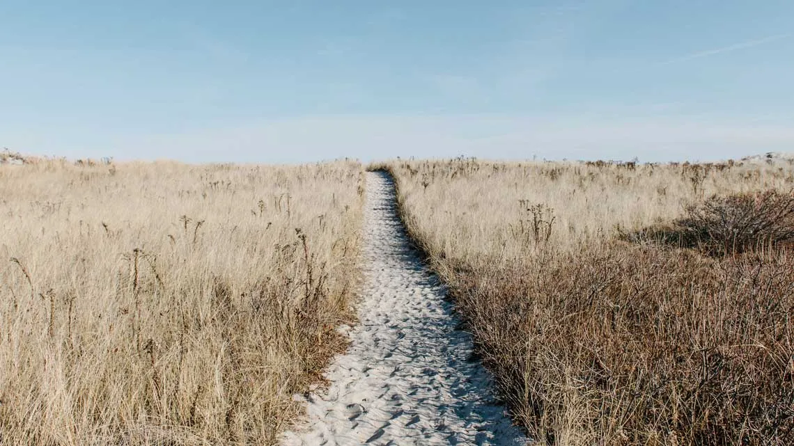 Schmaler Pfad führt durch ein Feld aus trockenem Gras