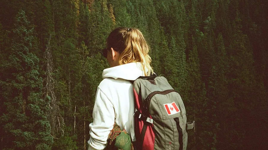 Person mit Rucksack blickt auf einen dichten Nadelwald